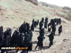 برگزاری مراسم کوهپیمایی