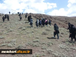 برگزاری مراسم کوهپیمایی 4