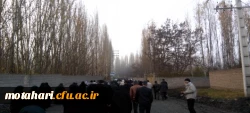 شرکت در مراسم پیاده روی  2