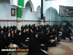 شرکت دانشجویان در مراسم عزاداری سرور و سالار شهیدان امام حسین (علیه السلام) 2