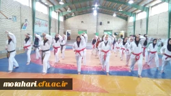 برگزاری کلاس تکواندو 2
