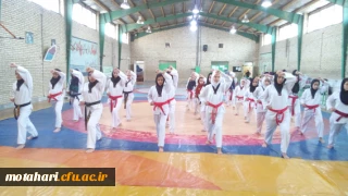 برگزاری کلاس تکواندو