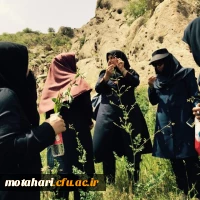 برگزاری اردوی علمی- سیاحتی و زیارتی دانشجویان کارشناسی ناپیوسته علوم تجربی به مناطق اطراف روستای سید تاج الدین 5