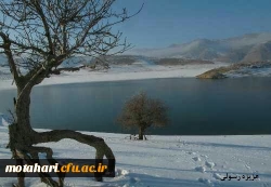 اسامی برگزیدگان مسابقه عکاسی «جشنواره زمستانی» 3