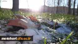 اسامی برگزیدگان مسابقه عکاسی «جشنواره زمستانی» 3