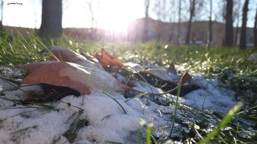 اسامی برگزیدگان مسابقه عکاسی «جشنواره زمستانی» 3