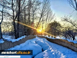 اسامی برگزیدگان مسابقه عکاسی «جشنواره زمستانی» 3