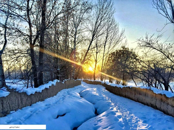اسامی برگزیدگان مسابقه عکاسی «جشنواره زمستانی» 3