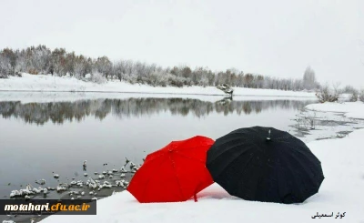 اسامی برگزیدگان مسابقه عکاسی «جشنواره زمستانی»