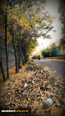 برگزاری اردوی فرهنگی –  سیاحتی تپه شهدای گمنام و منطقه فیرورق