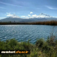 مرضیه علیزاده