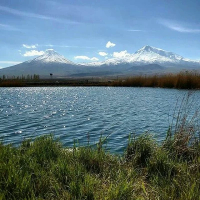 مرضیه علیزاده