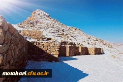 رحیم دلایی میلان