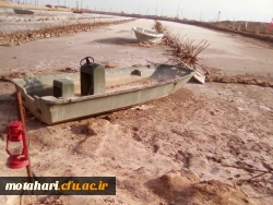 فاطمه منتظر قائمی