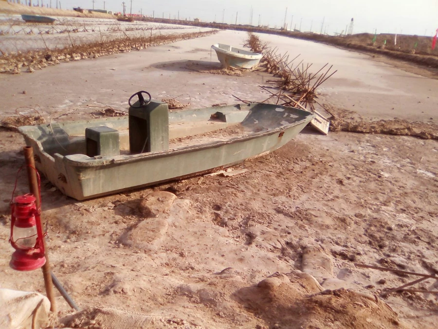 فاطمه منتظر قائمی