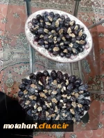 برگزاری مراسم عزاداری سرور و سالار شهیدان حضرت ابا عبدالله الحسین (ع) در مرکز آموزش عالی شهید مطهری خوی 2