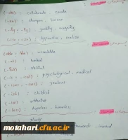 استاد صیرفی 13