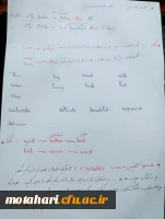 استاد صیرفی 10