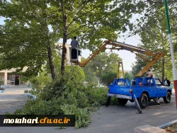 عملیات زیبا سازی محوطه با همکاری شهرداری  2