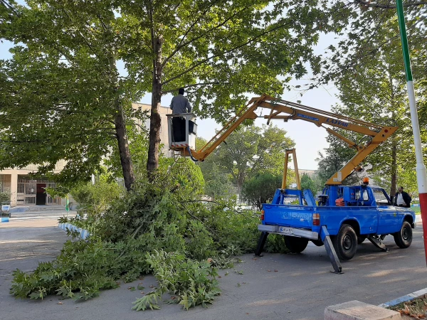 عملیات زیبا سازی محوطه با همکاری شهرداری  2