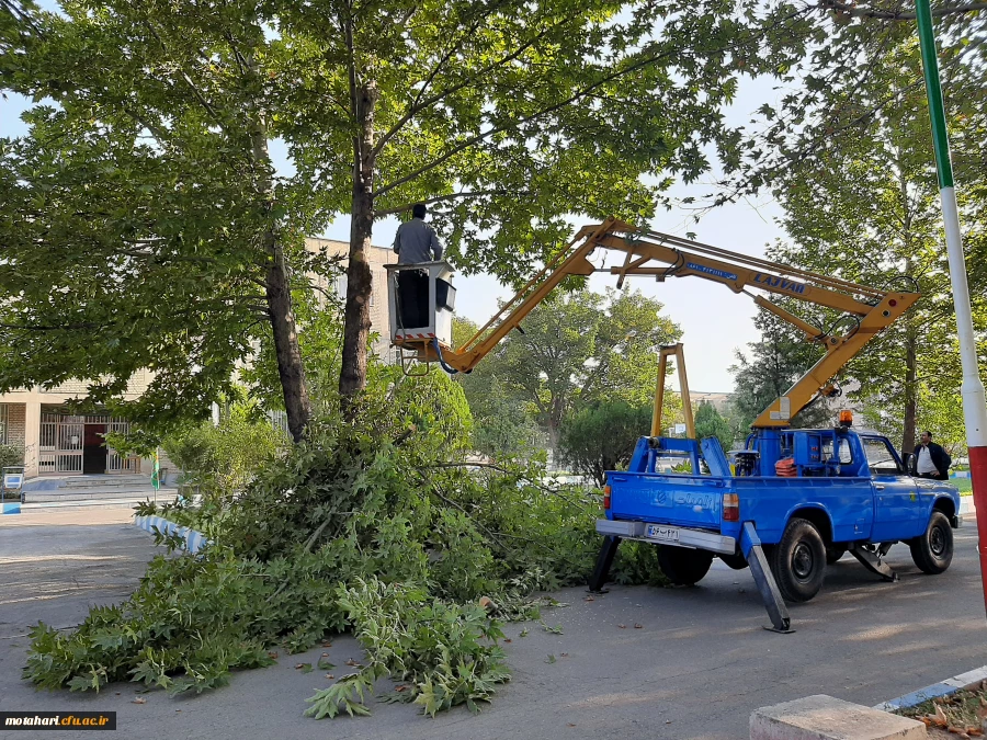 عملیات زیبا سازی محوطه با همکاری شهرداری  2