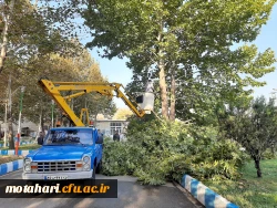 عملیات زیبا سازی محوطه با همکاری شهرداری  3